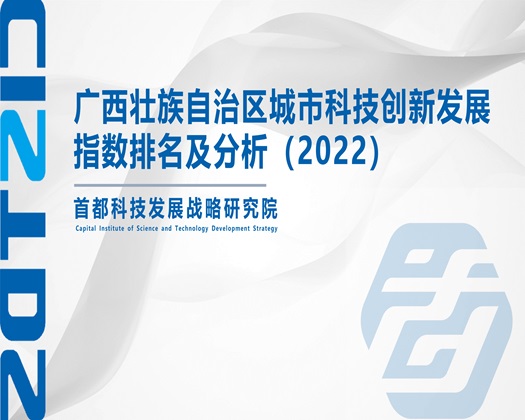 男生的大鸡巴操到女生的小逼逼里好爽操逼视频【成果发布】广西壮族自治区城市科技创新发展指数排名及分析（2022）